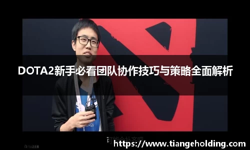 DOTA2新手必看团队协作技巧与策略全面解析